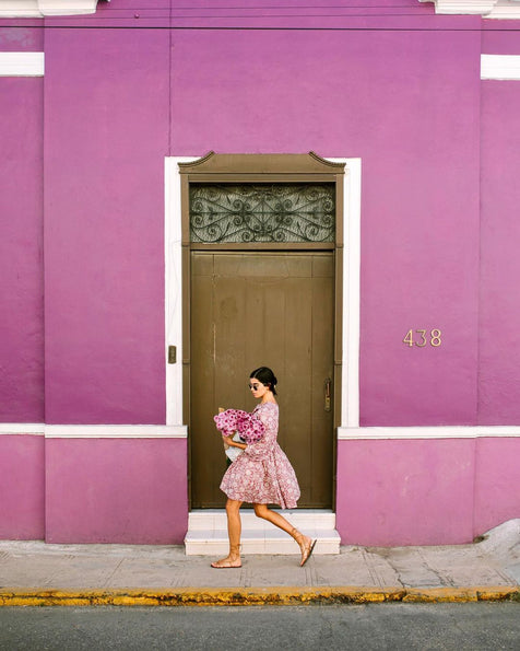 Kyra Mini Dress ~ Musk